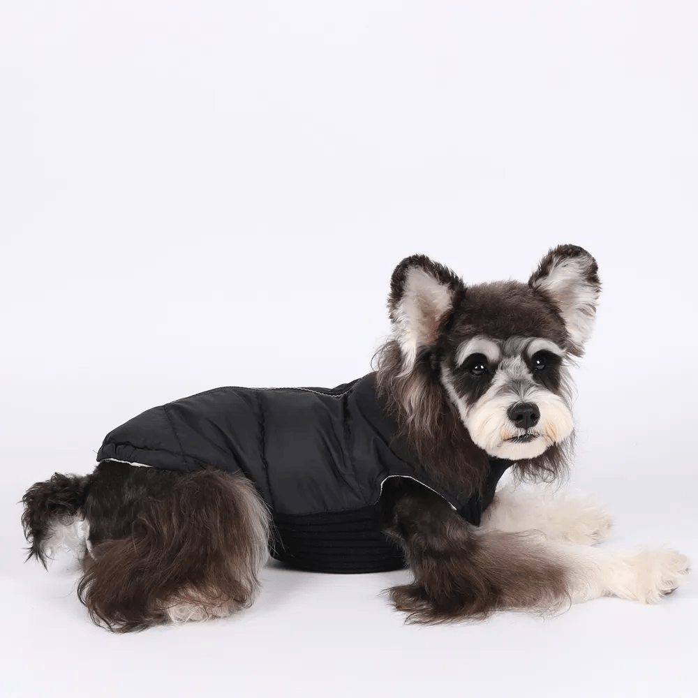 Colete Pet - Duty™ | Exclusivo da ForPatas