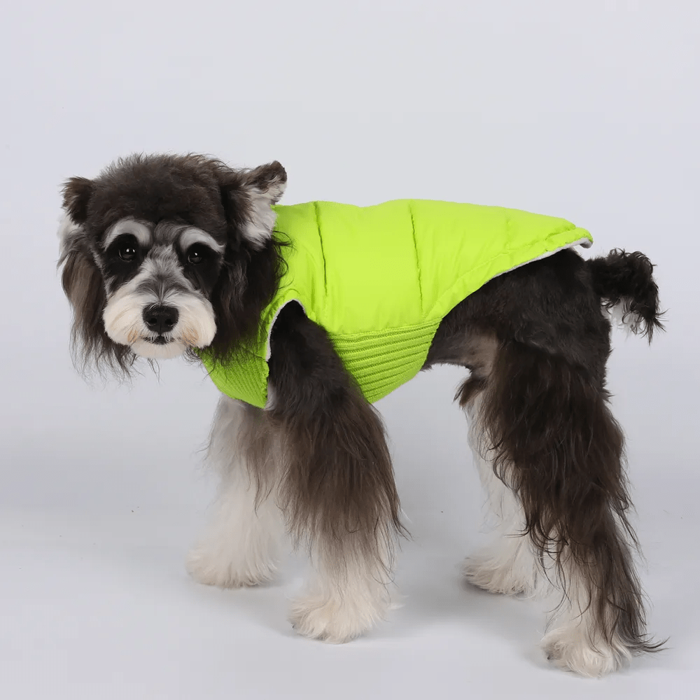 Colete Pet - Duty™ | Exclusivo da ForPatas