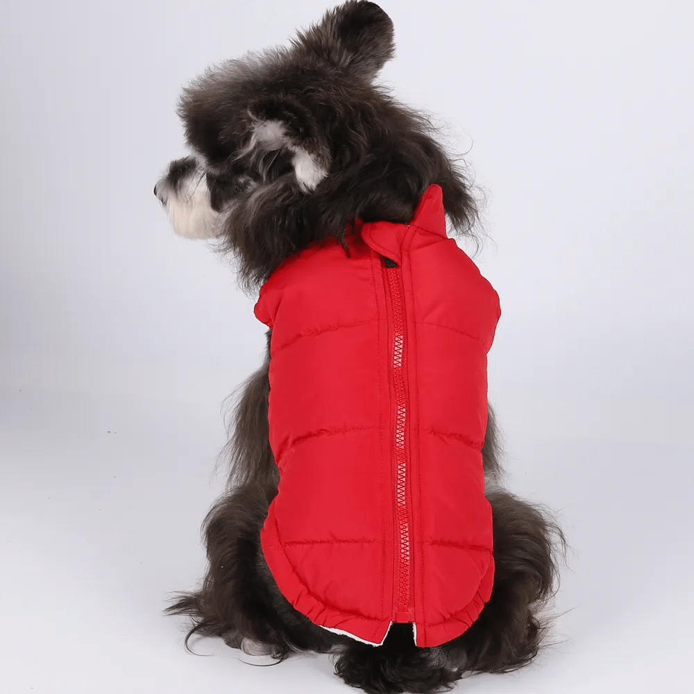 Colete Pet - Duty™ | Exclusivo da ForPatas