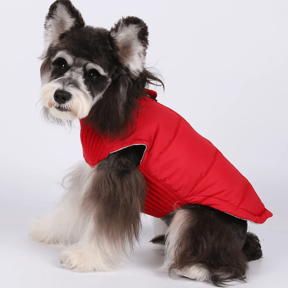 Colete Pet - Duty™ | Exclusivo da ForPatas