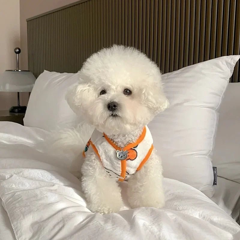 Colete Pet - Lupzy™ | Exclusivo da ForPatas