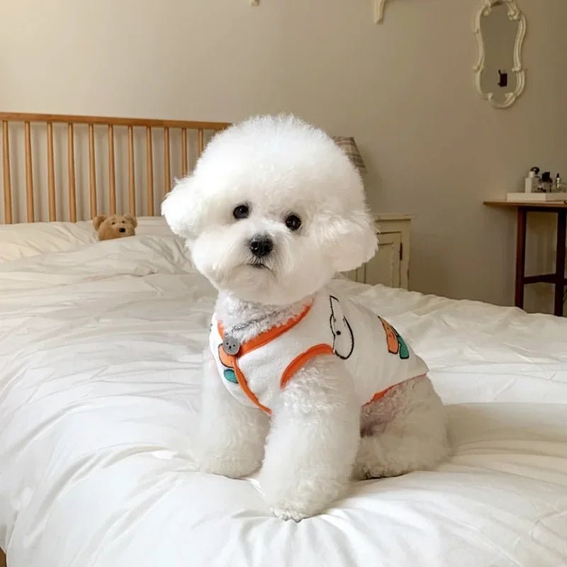 Colete Pet - Lupzy™ | Exclusivo da ForPatas