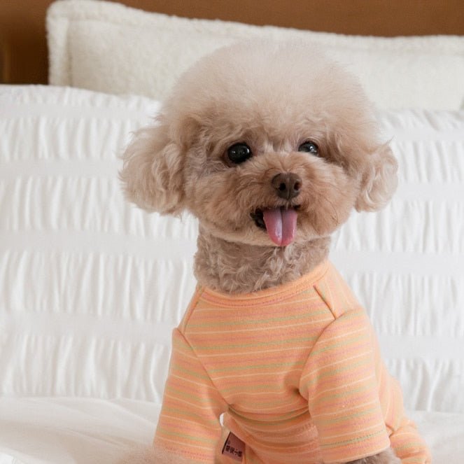 Macacão Algodão - Furrish™ | Exclusivo da ForPatas