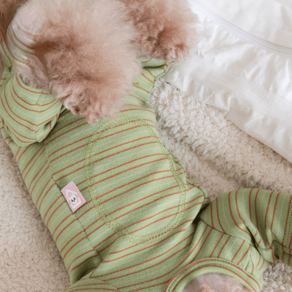 Macacão Algodão - Furrish™ | Exclusivo da ForPatas