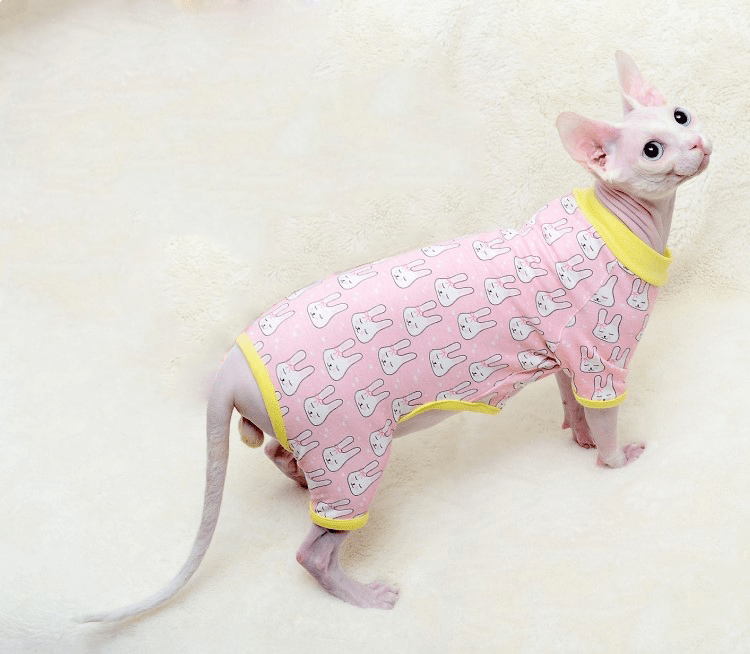 Macacão Cat - Snouty™ | Exclusivo da ForPatas