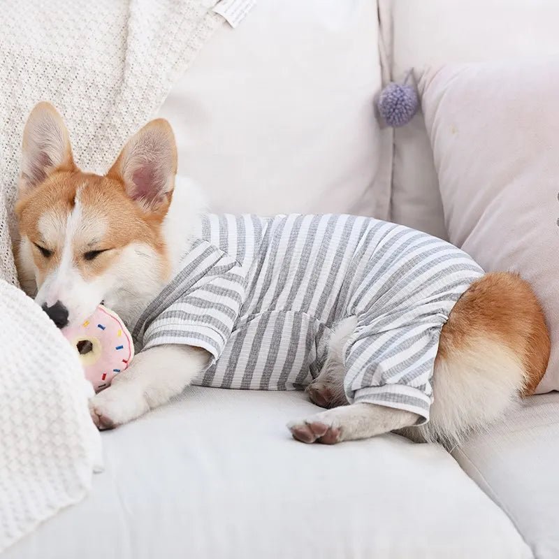 Macacão - Furrish™ | Exclusivo da ForPatas