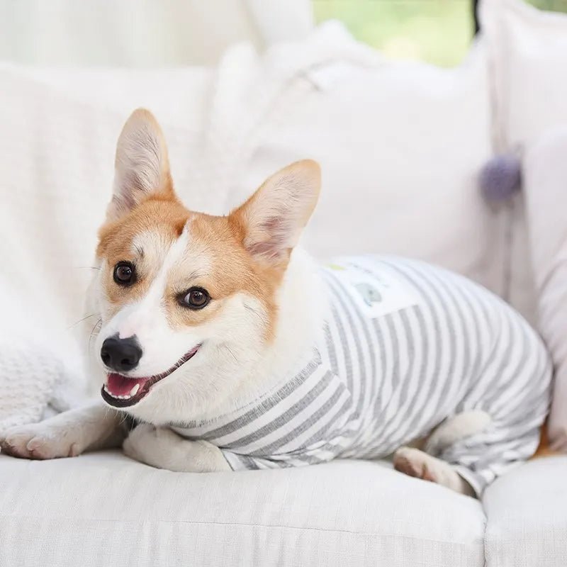 Macacão - Furrish™ | Exclusivo da ForPatas