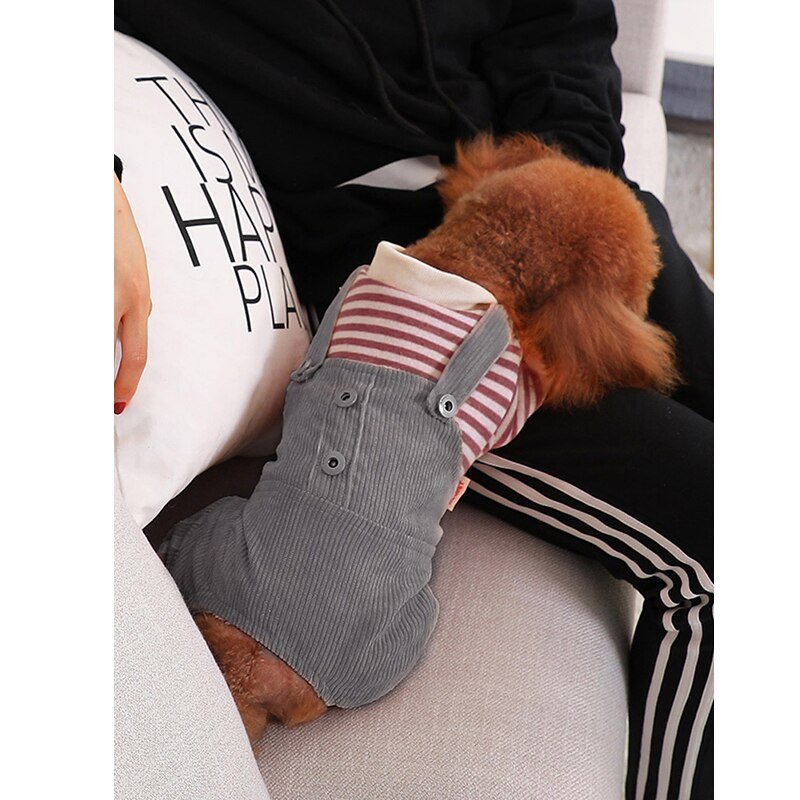 Macacão Pet - Pawzly™ | Exclusivo da ForPatas