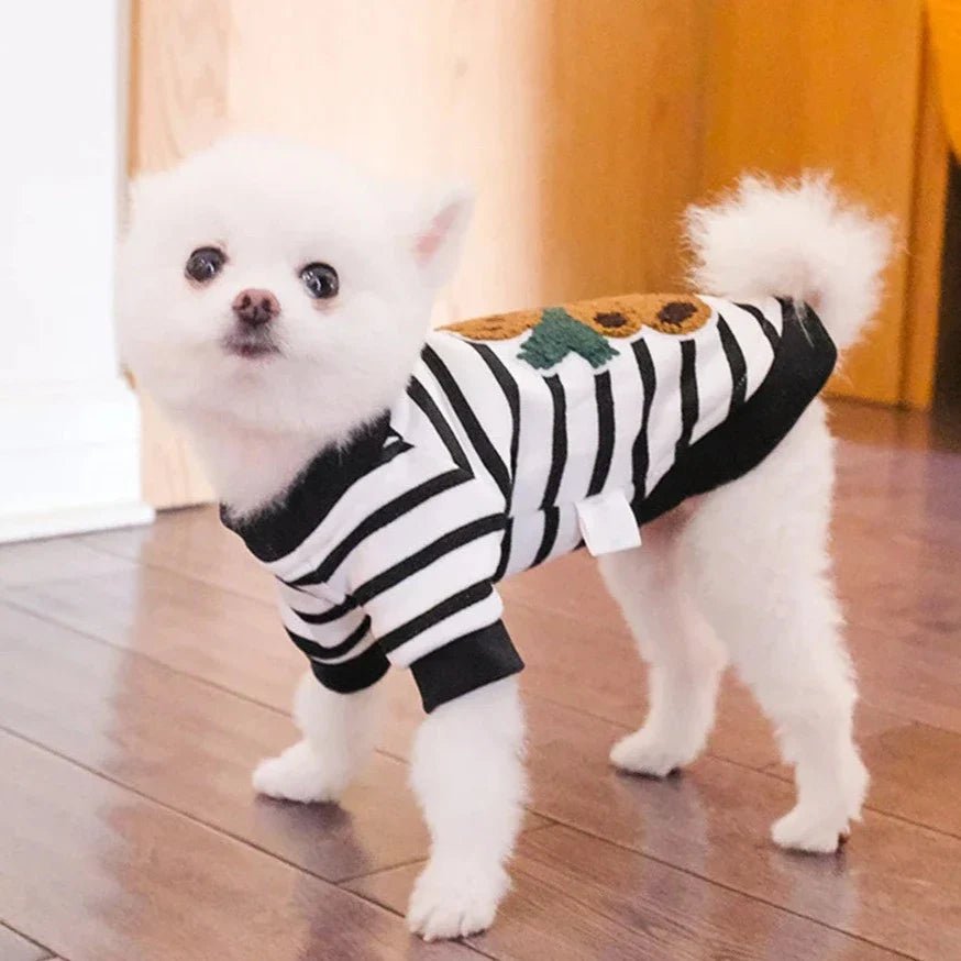 Moletom Apolo - Duty™ | Exclusivo da ForPatas