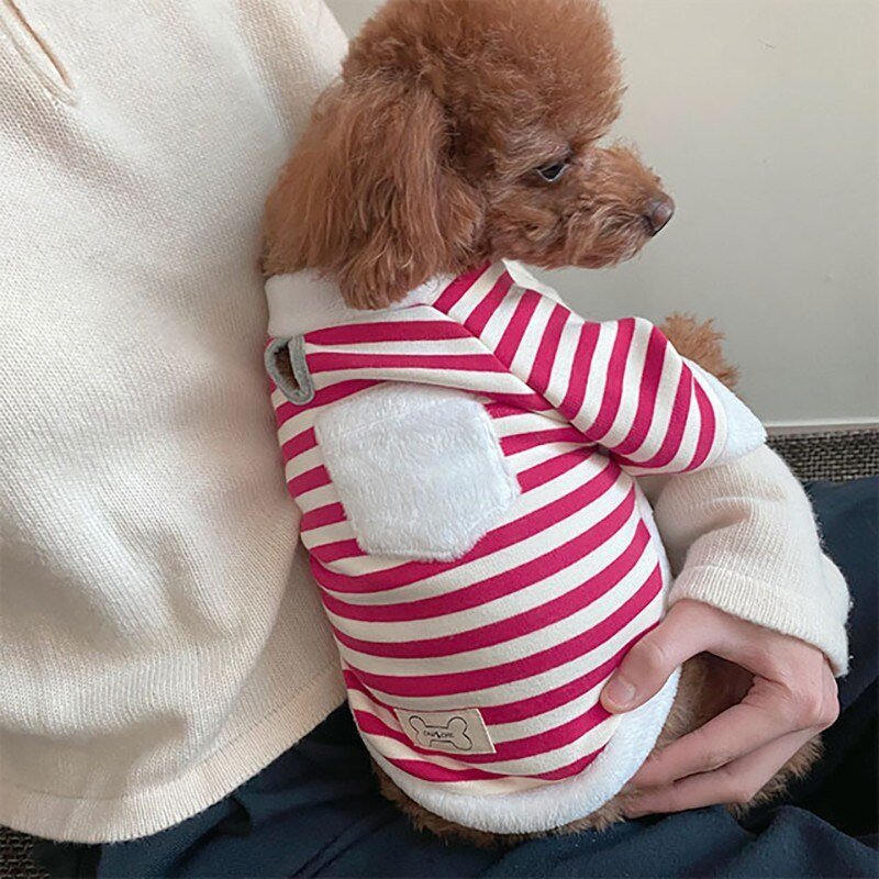 Moletom com Cachecol Papai Noel - Petzo™ | Exclusivo da ForPatas