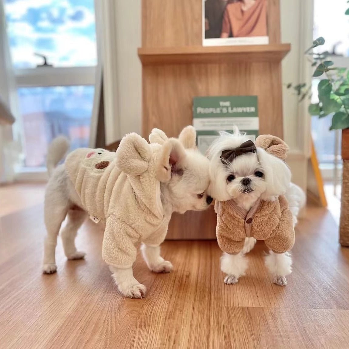 Moletom Fofo Bear - Snouty™ | Exclusivo da ForPatas