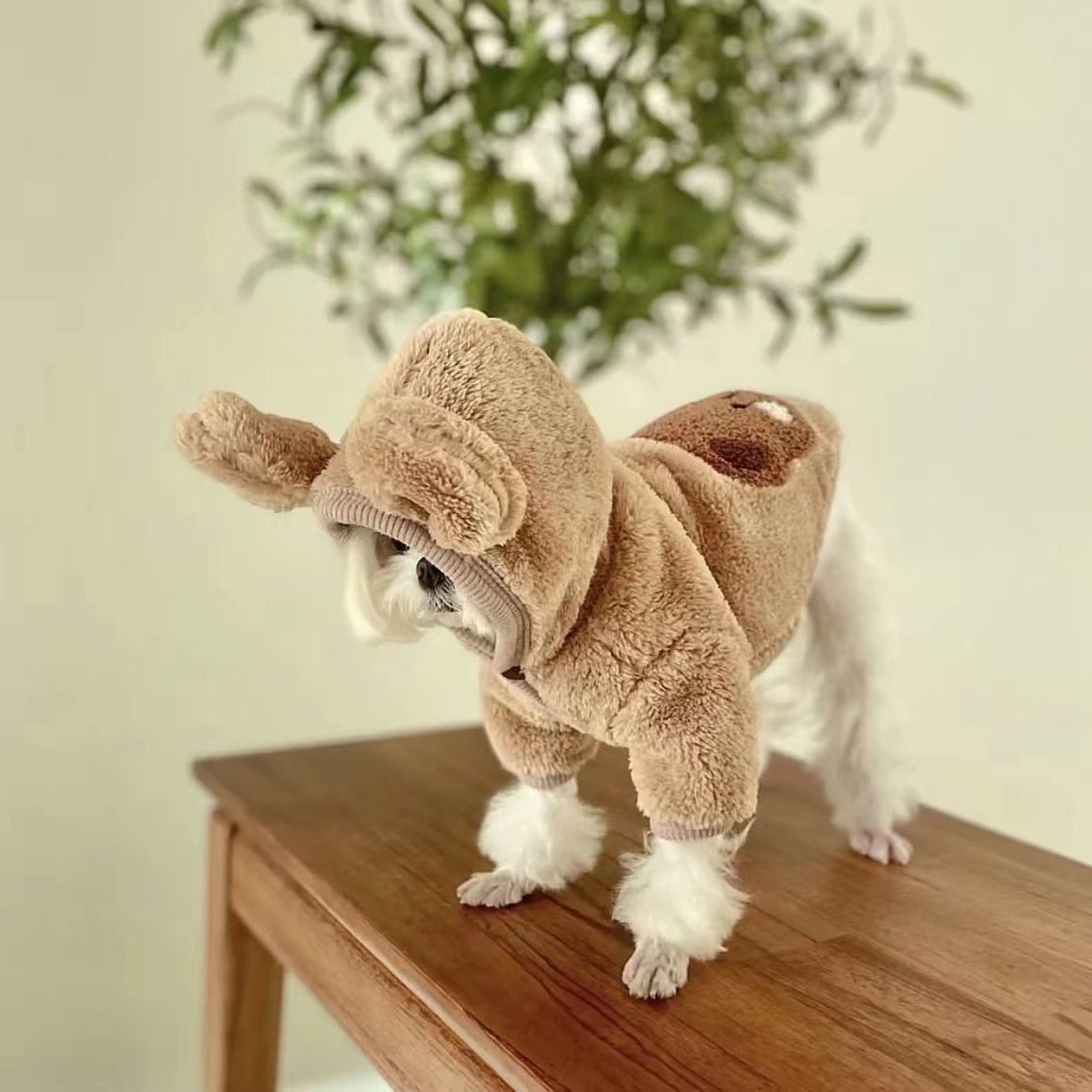 Moletom Fofo Bear - Snouty™ | Exclusivo da ForPatas