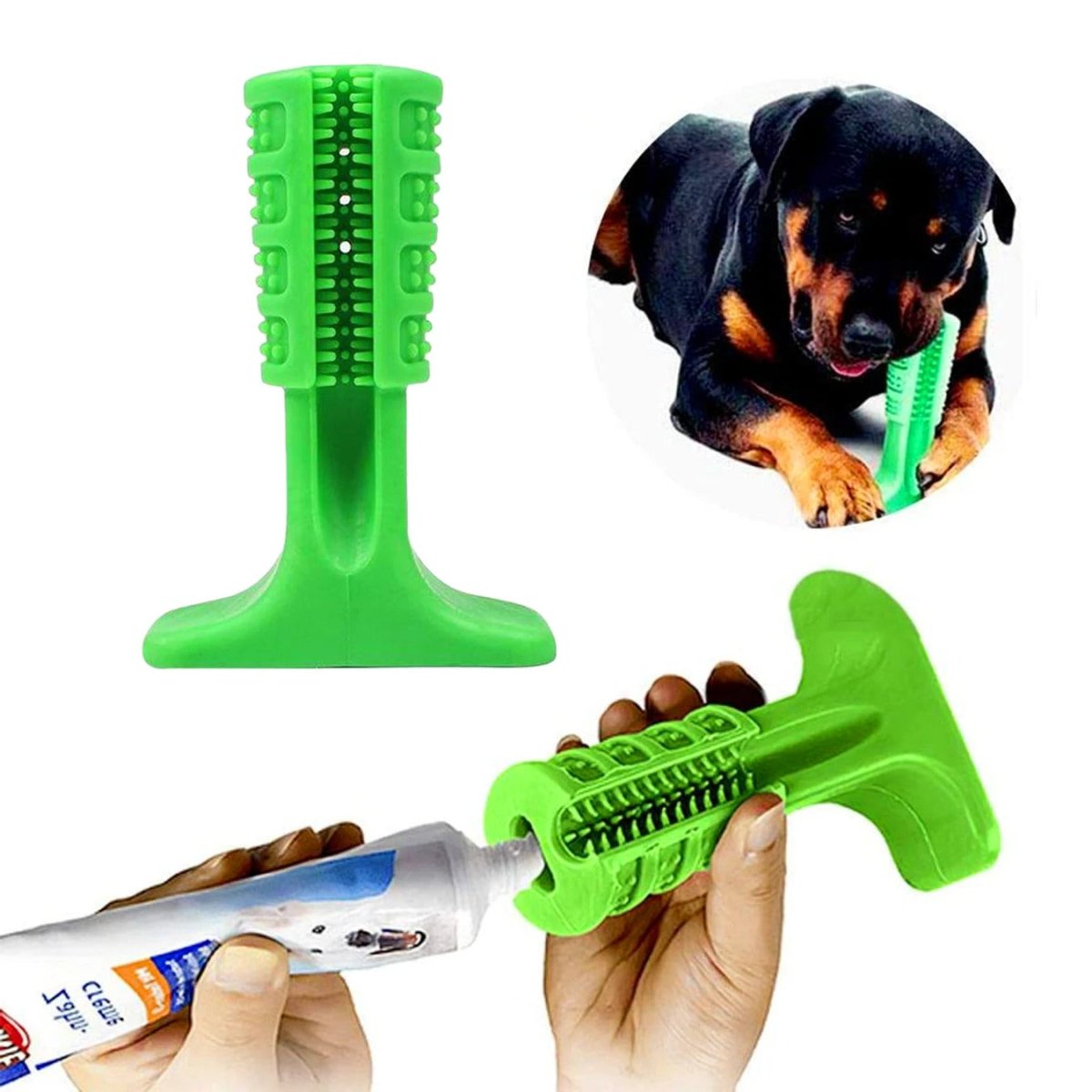 Mordedor Escova de Dentes para Cão - Petzo™ | Exclusivo da ForPatas