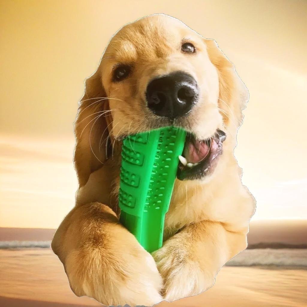 Mordedor para Cachorro - Muttly™ | Exclusivo da ForPatas