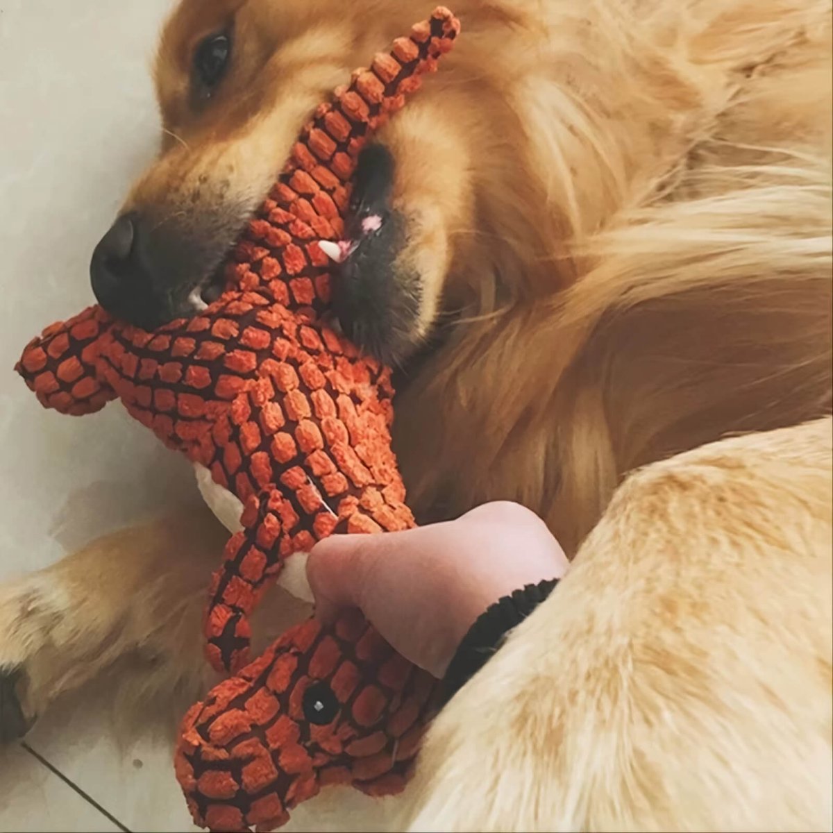 Pelúcia Dino Super Resistente - Pawzly™ | Exclusivo da ForPatas