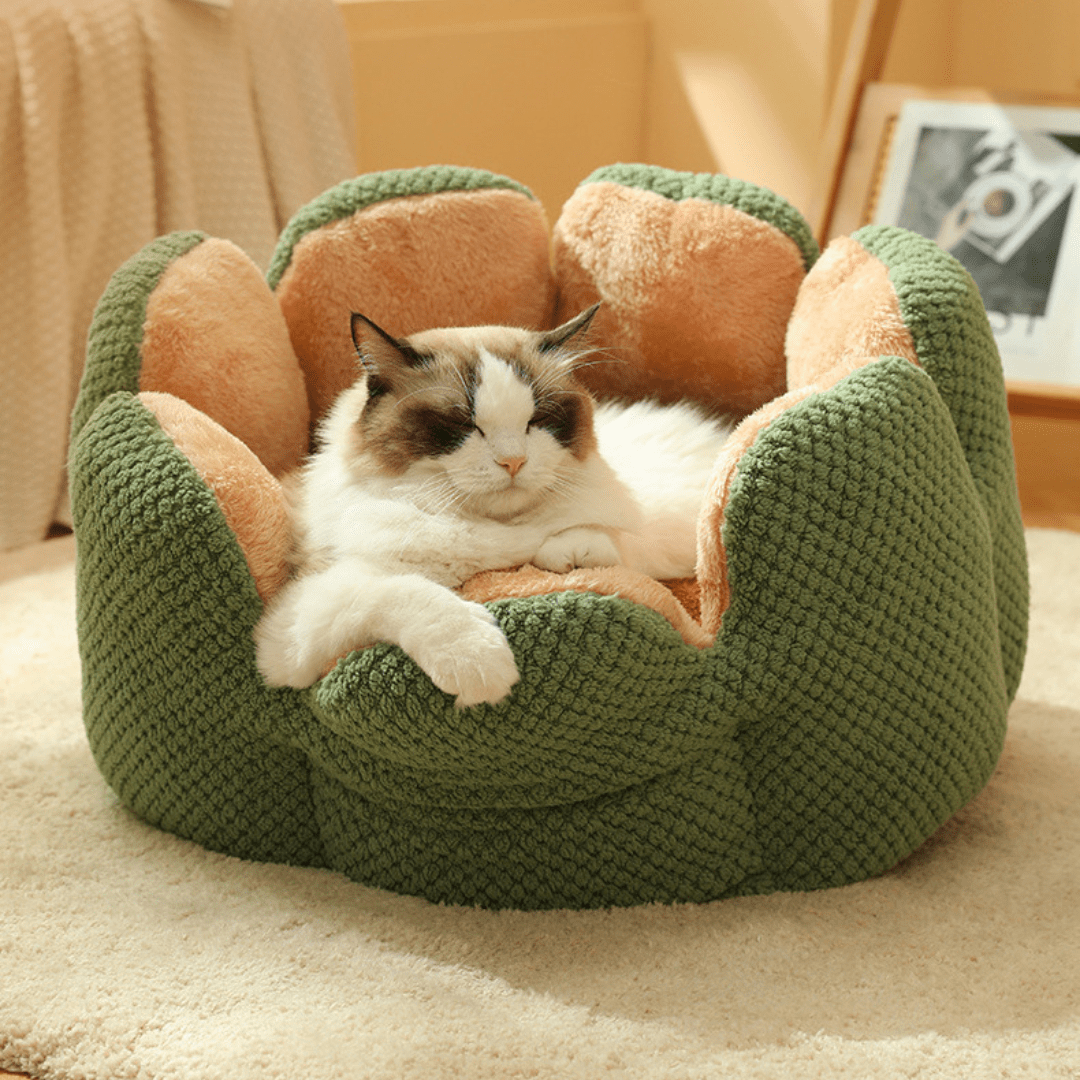 Puff Pet Florzinha - Kinect™ | Exclusivo da ForPatas