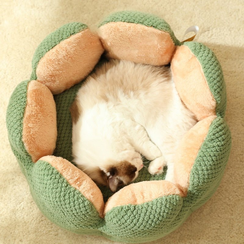 Puff Pet Florzinha - Kinect™ | Exclusivo da ForPatas