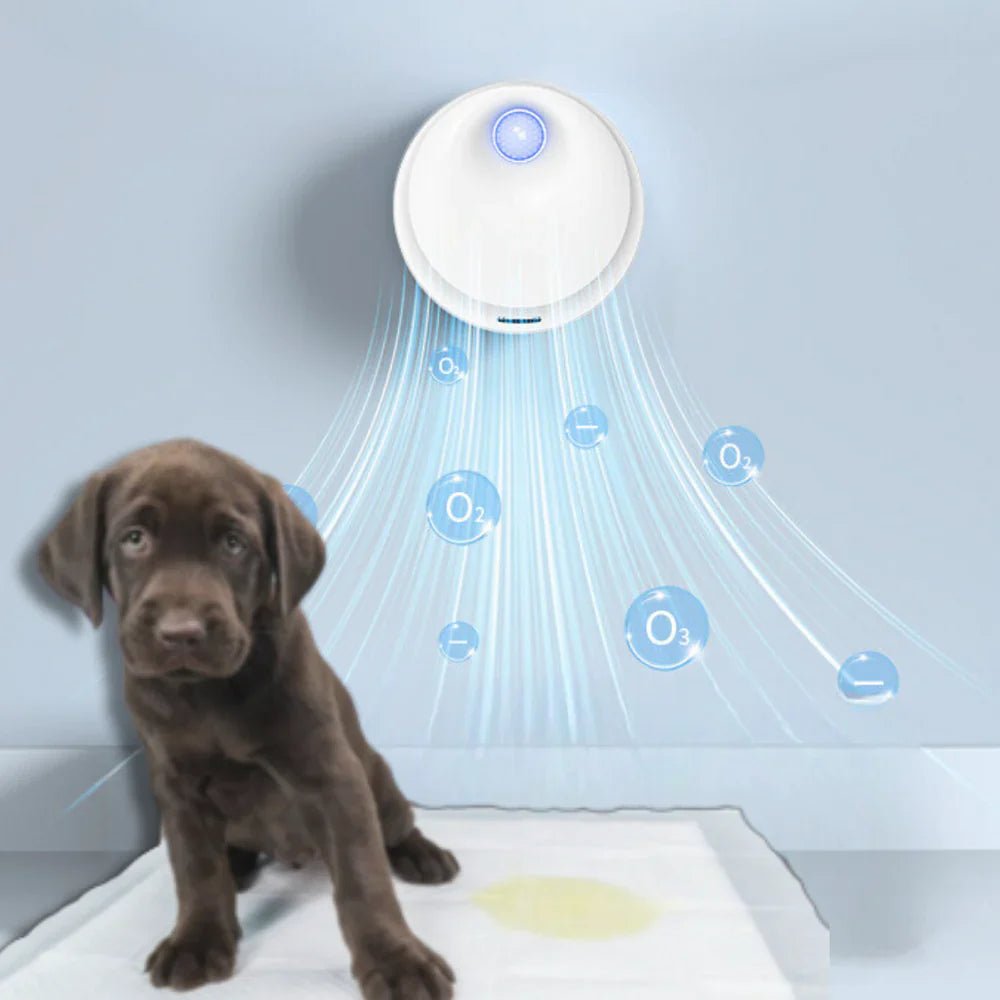 Purificador de Ar para Pets: Detetize e Tire o Odor do Ambiente - Lupzy™ | Exclusivo da ForPatas