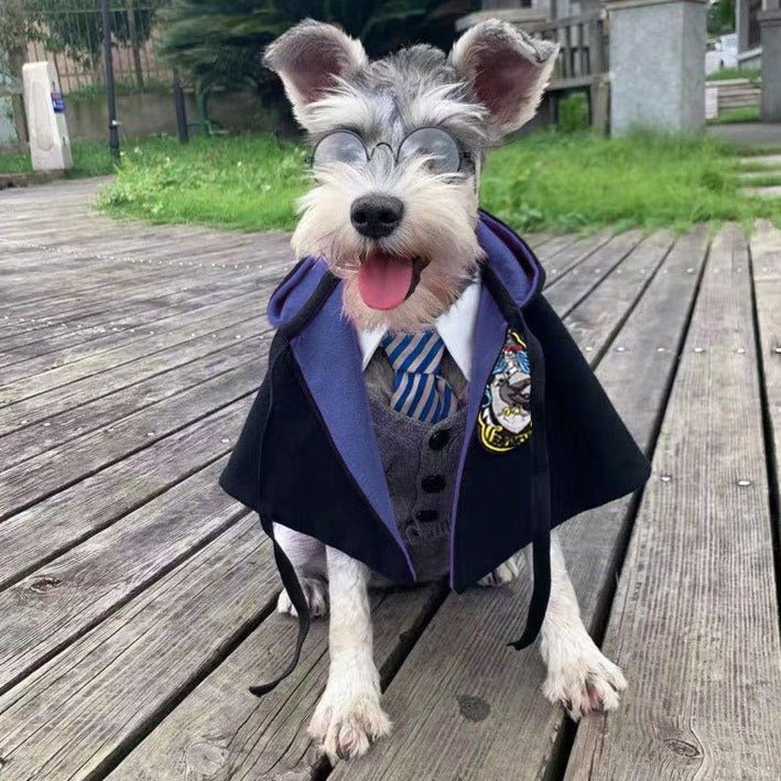 Roupa Fantasia para Pet do Harry Potter - Duty™ | Exclusivo da ForPatas
