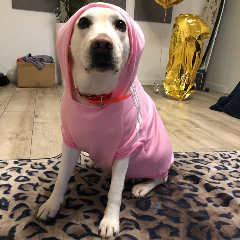 Roupa Para Cachorro Moletom Confortável para Pet - Pawzly™ | Exclusivo da ForPatas