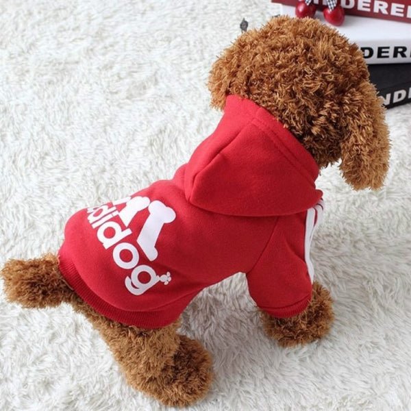 Roupa Para Cachorro Moletom Confortável para Pet - Pawzly™ | Exclusivo da ForPatas
