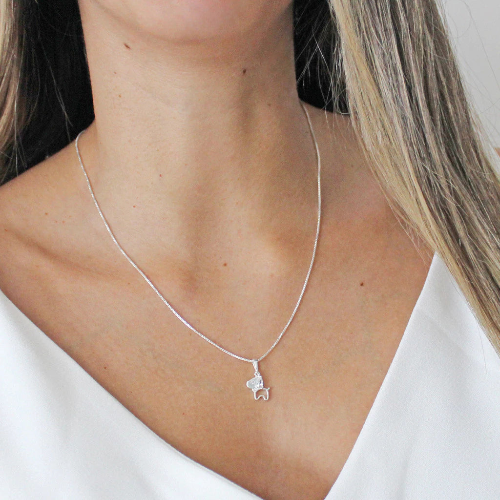 Colar Cachorro com Zircônias em Prata 925 – Lupzy™ | Brilho e Amor Pet