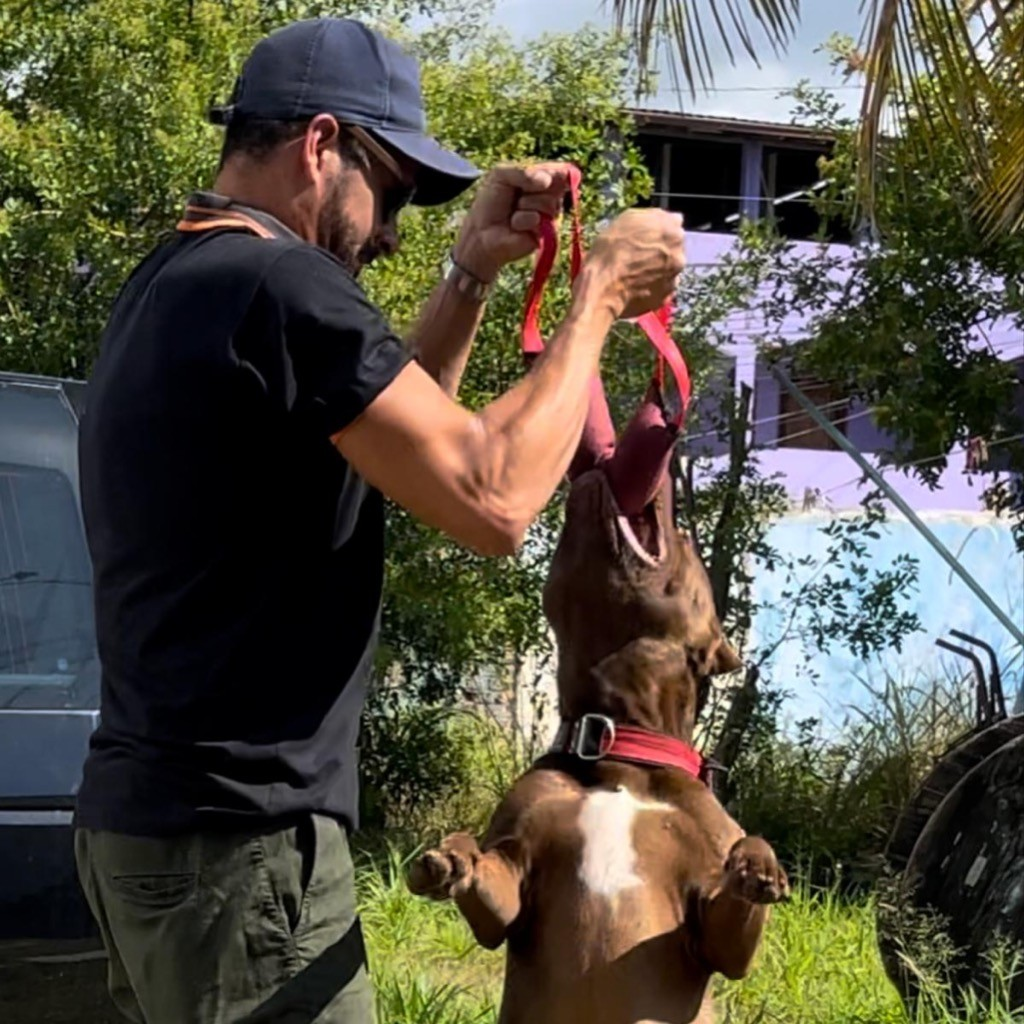 Mordedor para Cães de Grande Porte Pillow Super Forte Resistente Para Cães Fortes Treinamento