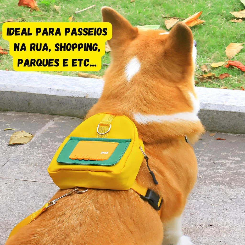 Mochila Pet Impermeável Com Peitoral E Guia Ideal Para Cães Em Viagens E Passeios Ao Ar Livre