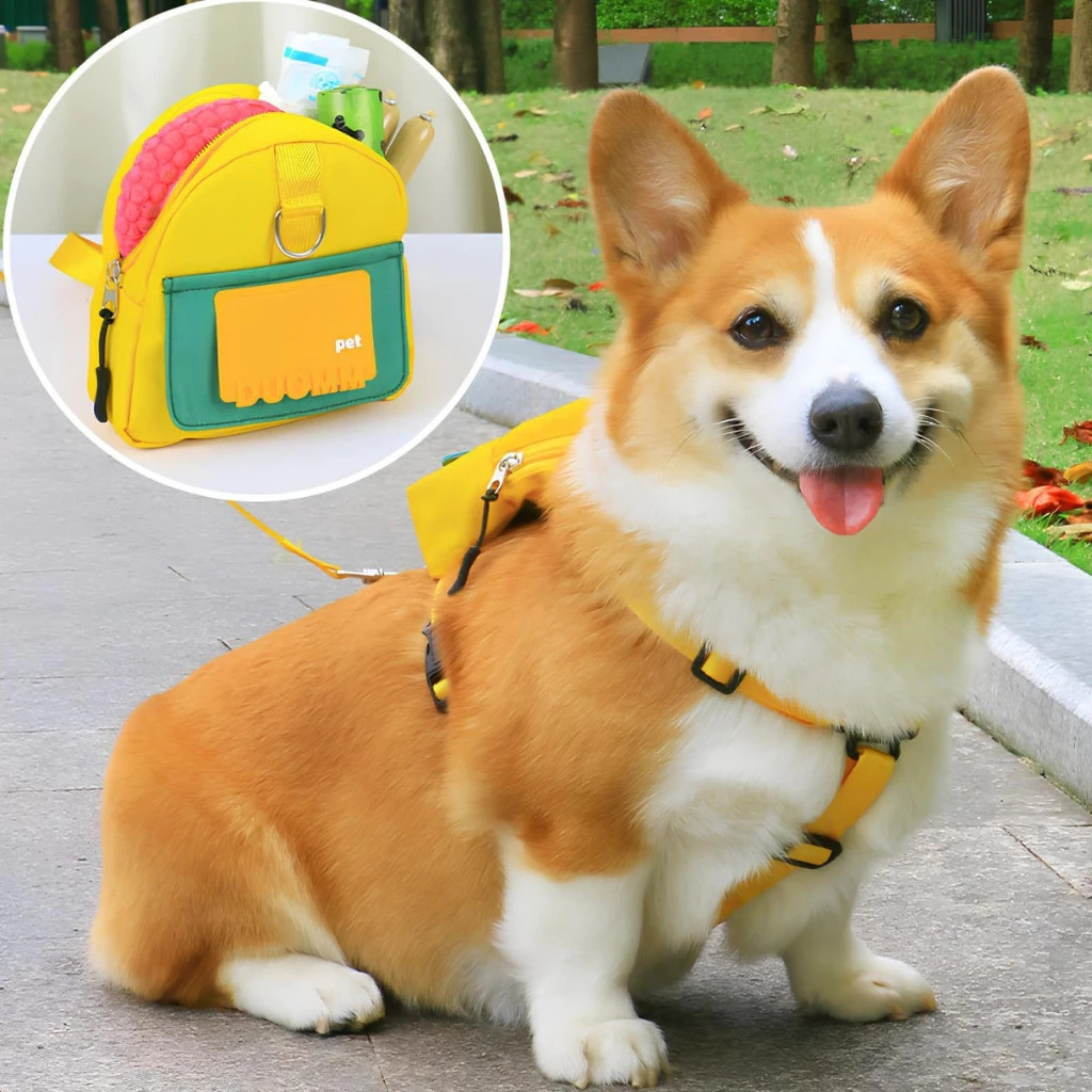 Mochila Pet Impermeável Com Peitoral E Guia Ideal Para Cães Em Viagens E Passeios Ao Ar Livre