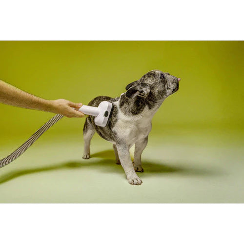 Aspirador de Pelos 5 em 1 Profissional 300W com Tosador e Filtro HEPA para Cachorro e Gato Kärcher™