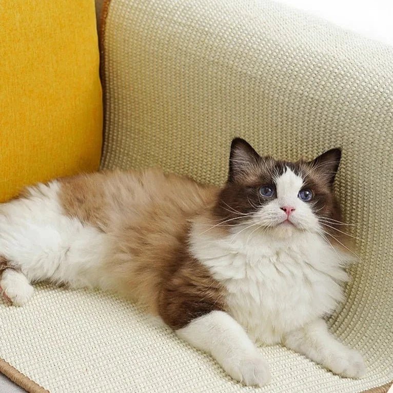 Tapete Arranhador Huy - Furrish™ | Exclusivo da ForPatas