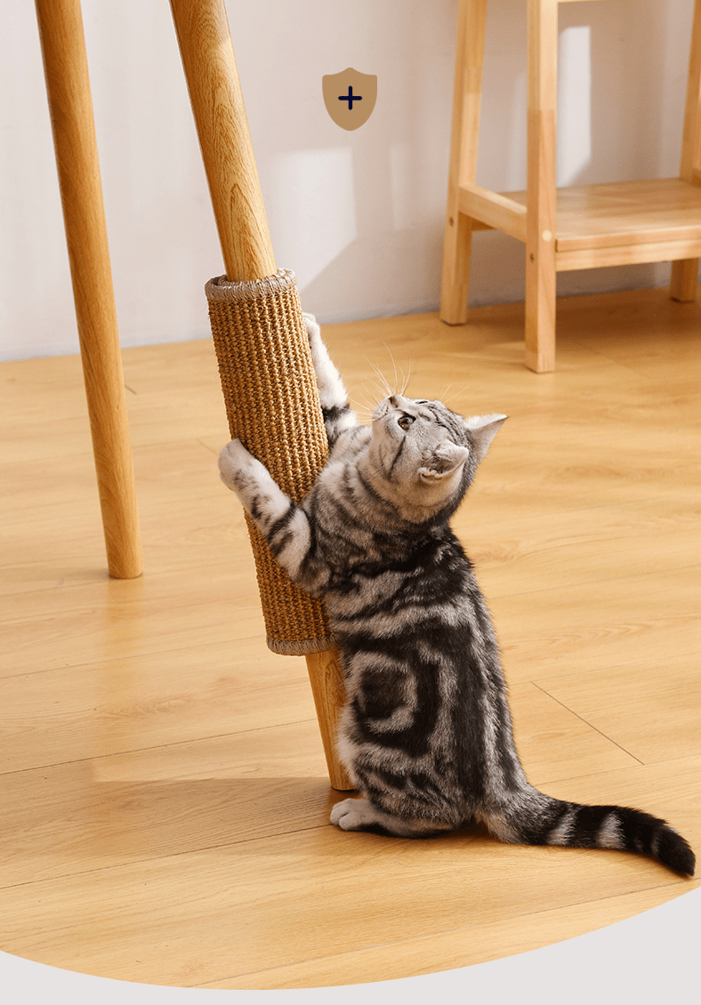 Tapete Arranhador Huy - Furrish™ | Exclusivo da ForPatas