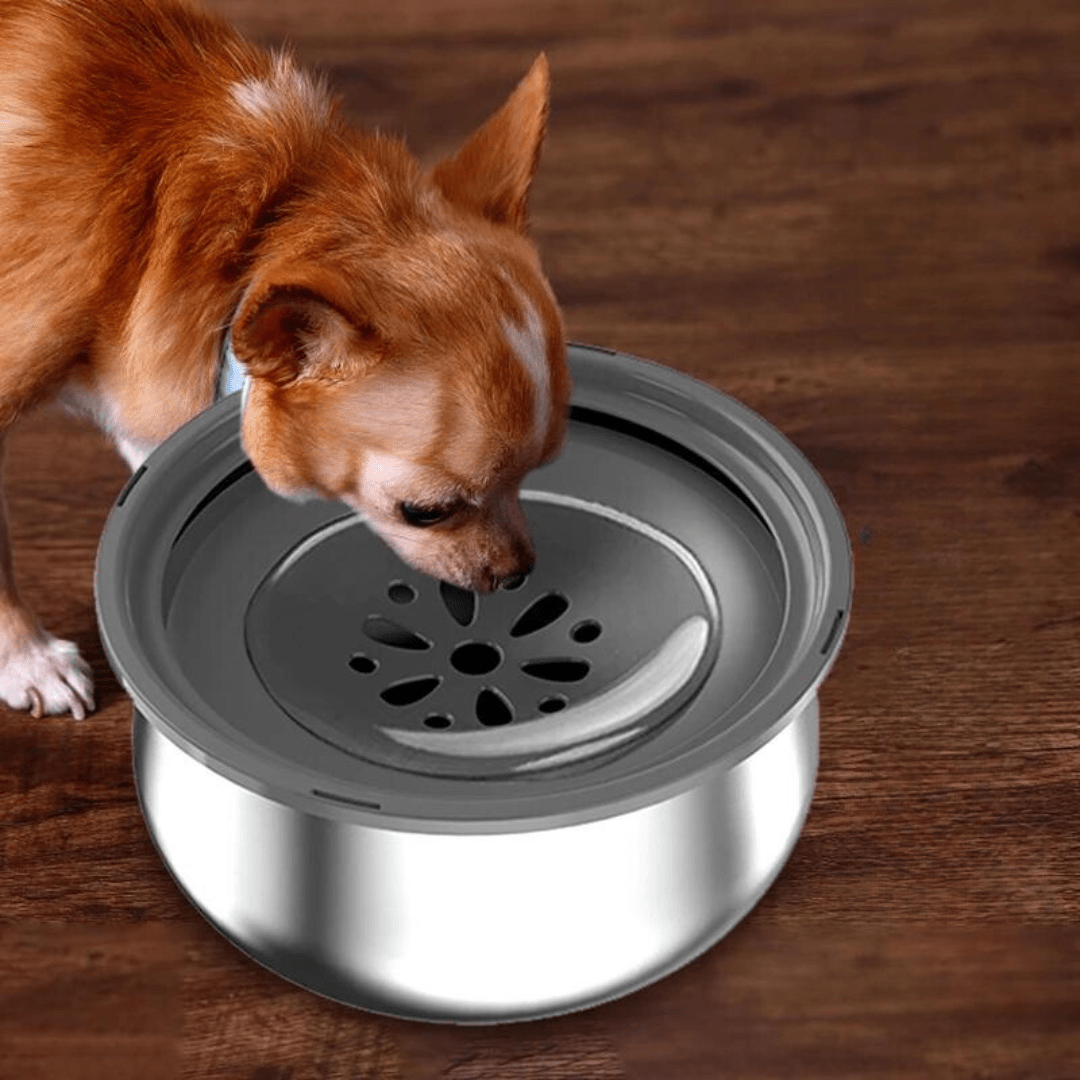 Tigela Anti - respingo Inox 4L - Lupzy™ | Exclusivo da ForPatas