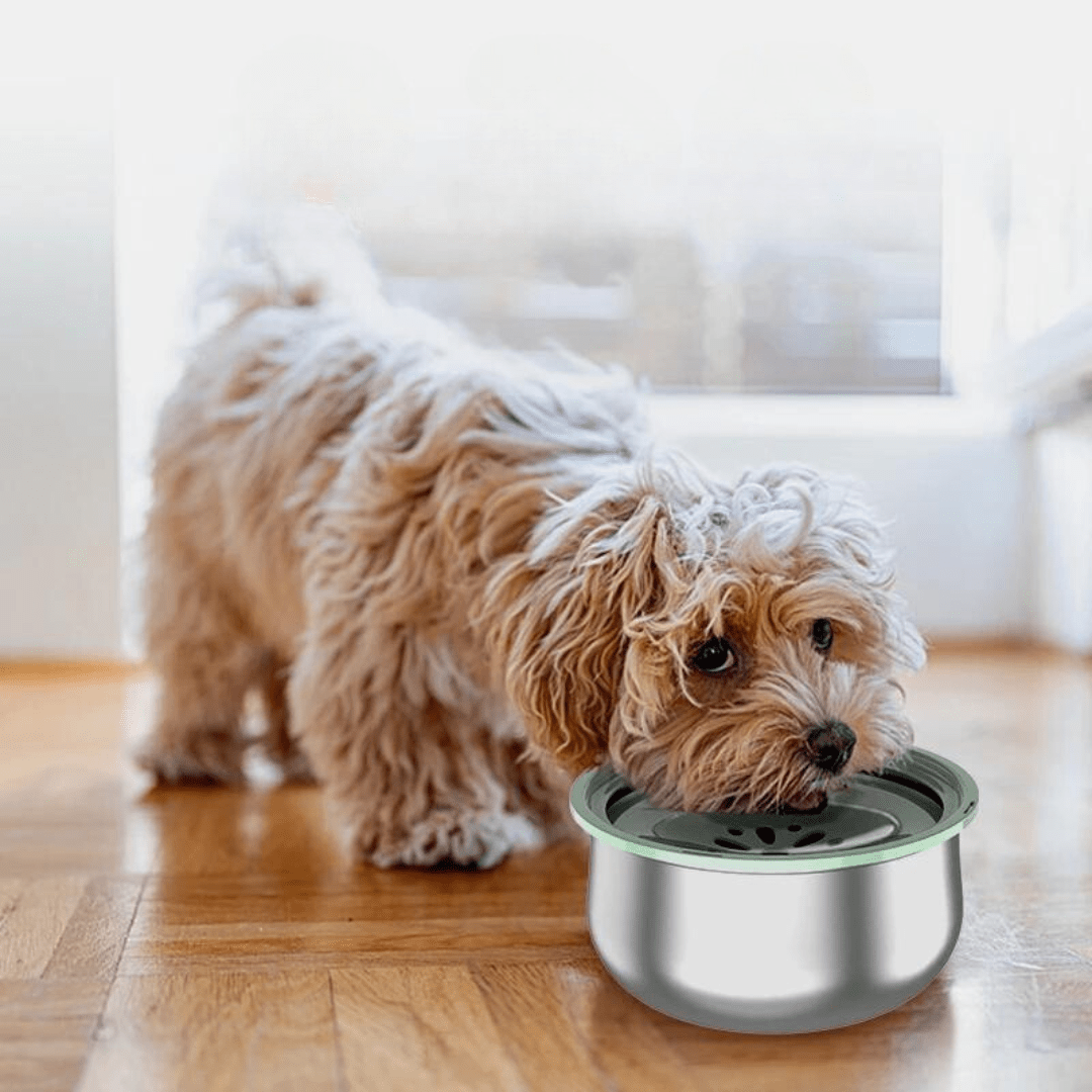 Tigela Anti - respingo Inox 4L - Lupzy™ | Exclusivo da ForPatas