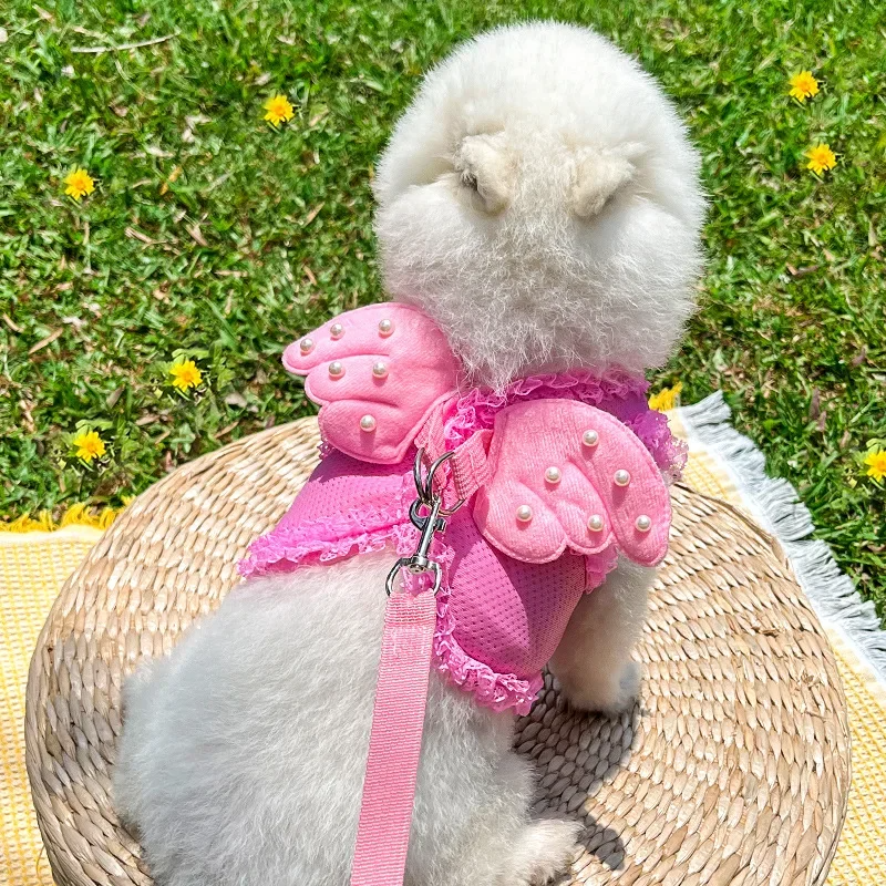 Coleira & Guia Pet Anjinho - Snouty™
