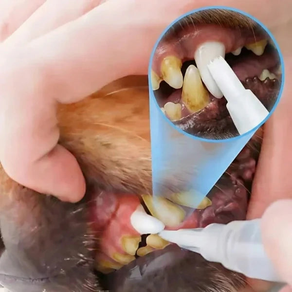 Caneta Dental para Pets – Limpa dentes amarelados, previne o tártaro e elimina o mau hálito