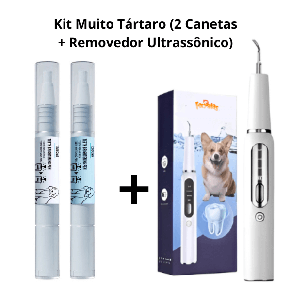 Tratamento Dental Pet | Caneta, Lavizoo e Ultrassônico – ForPatas