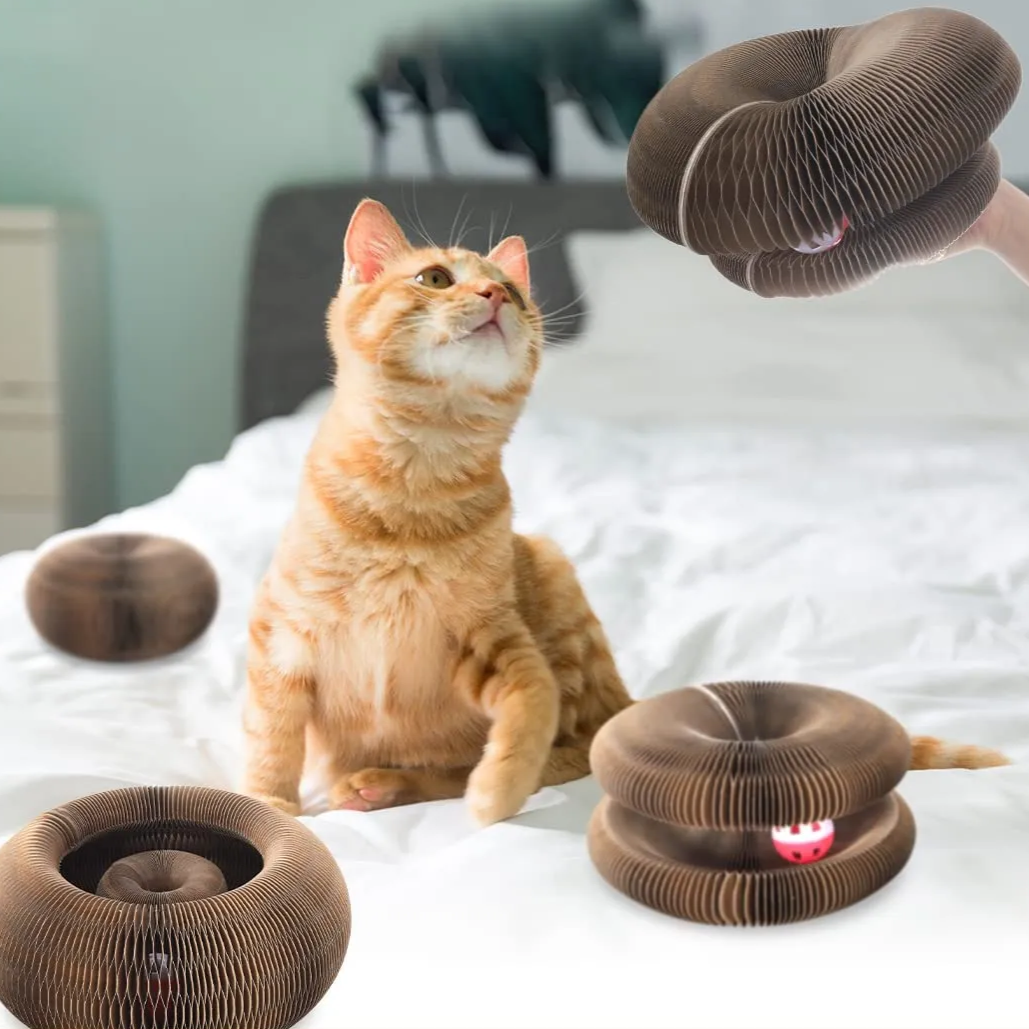 Brinquedo Disco Arranhador com Bolinha – Diversão, Enriquecimento e Alívio do Estresse – Lupzy™