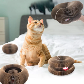 Brinquedo Disco Arranhador com Bolinha – Diversão, Enriquecimento e Alívio do Estresse – Lupzy™