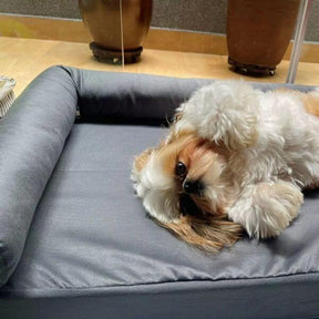 Cama Pet Premium M/G 80x60cm com Encosto Ergonômico – Lupzy™ | Conforto, Proteção e Elegância