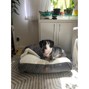 Cama Cave Aconchegante com Coberta em Veludo para Cachorro e Gato 70x70 DeCoração Atelier™