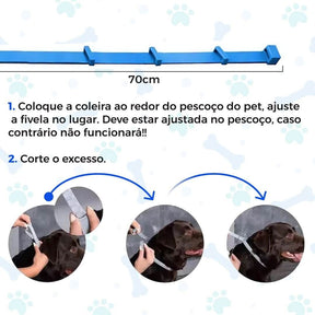 Coleira Anti Pulgas, Carrapatos e Mosquitos 100% Natural – Proteção até 8 Meses | ForPatas