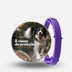 Coleira Anti Pulgas, Carrapatos e Mosquitos 100% Natural – Proteção até 8 Meses | ForPatas