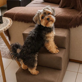 Escada Pet de Luxo 3 Degraus em Suede Impermeável – ForPatas™