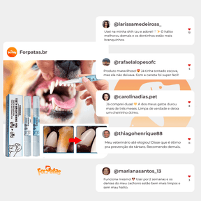 Caneta Dental para Pets – Limpa dentes amarelados, previne o tártaro e elimina o mau hálito