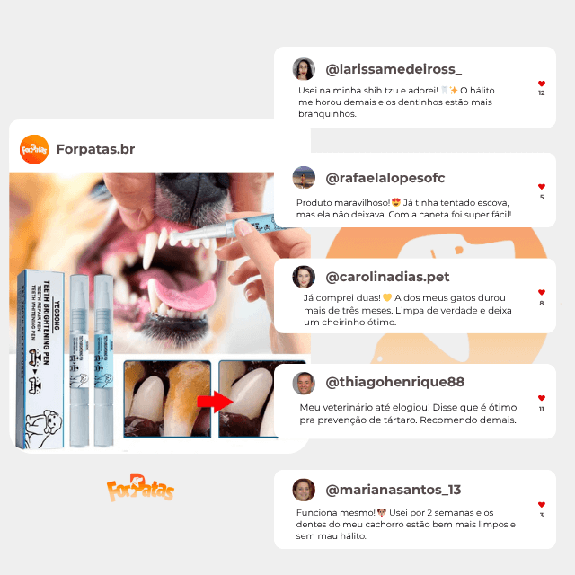 Caneta Dental para Pets – Limpa dentes amarelados, previne o tártaro e elimina o mau hálito