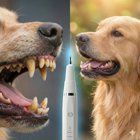 Removedor Ultrassônico de Tártaro para Pets – DentalCare™