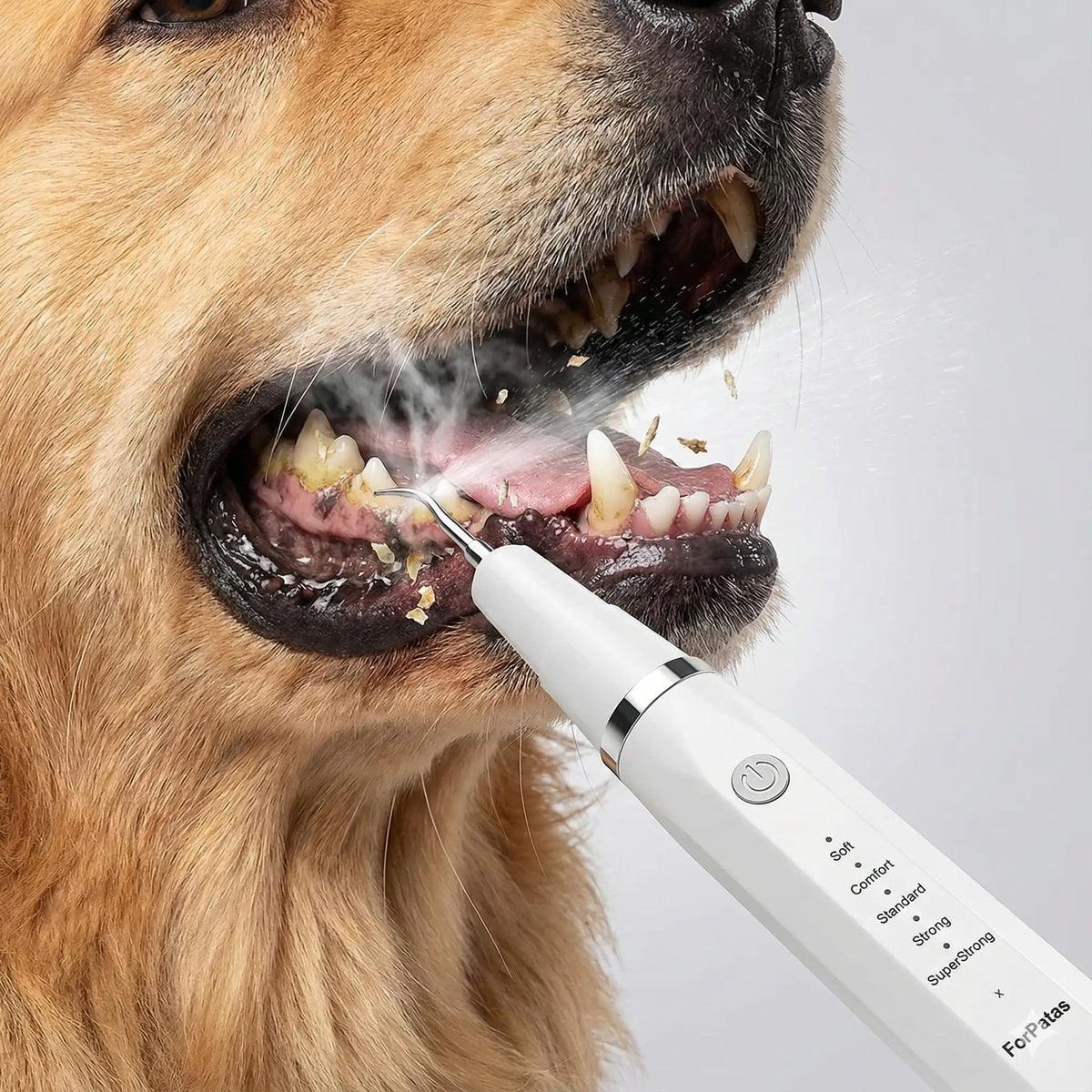 Removedor Ultrassônico de Tártaro para Pets – DentalCare™