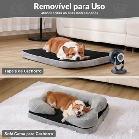 Cama Sofá Ortopédica para Cachorro de Medio e Grande Porte – Lupzy™ | Alívio Articular e Conforto Premium
