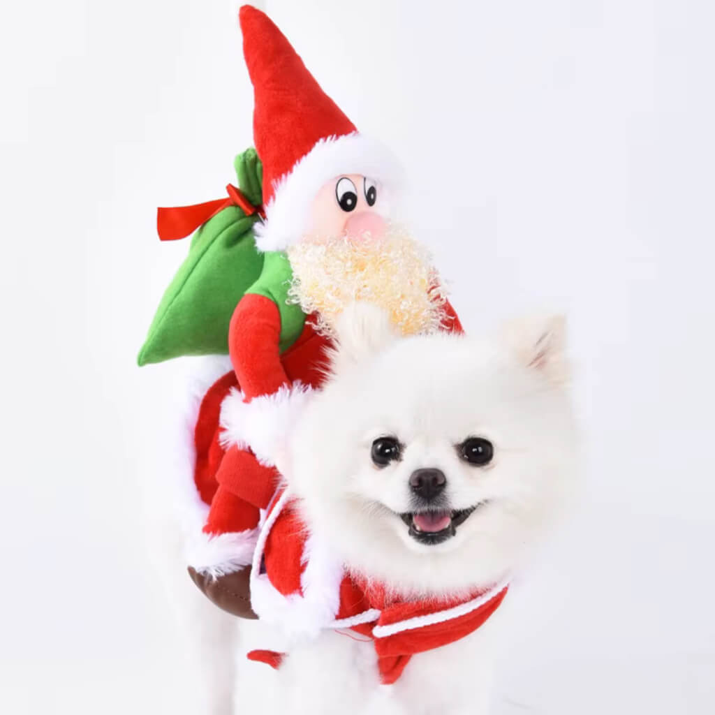 Roupa Fantasia de Natal Papai Noel para Cães e Gatos – Barkify™